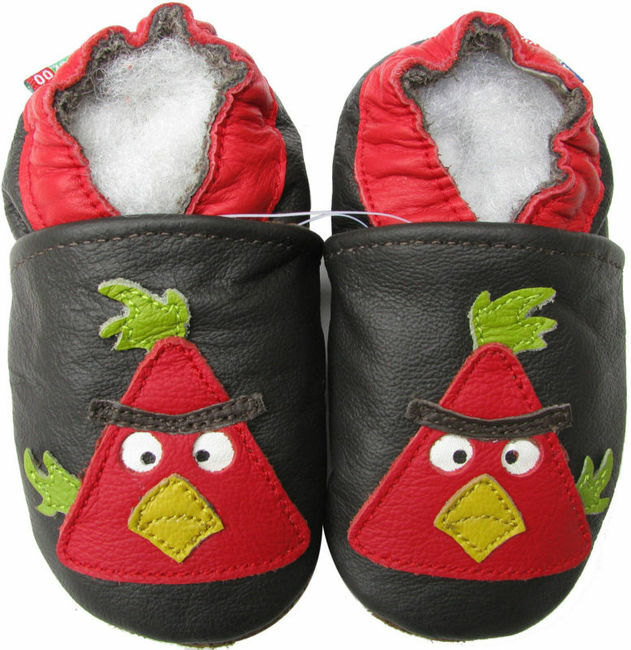 Bird Dark Brown up to 6 Years Old